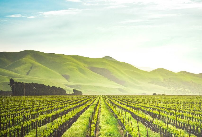 Fundani Tours winelands and garden route tour