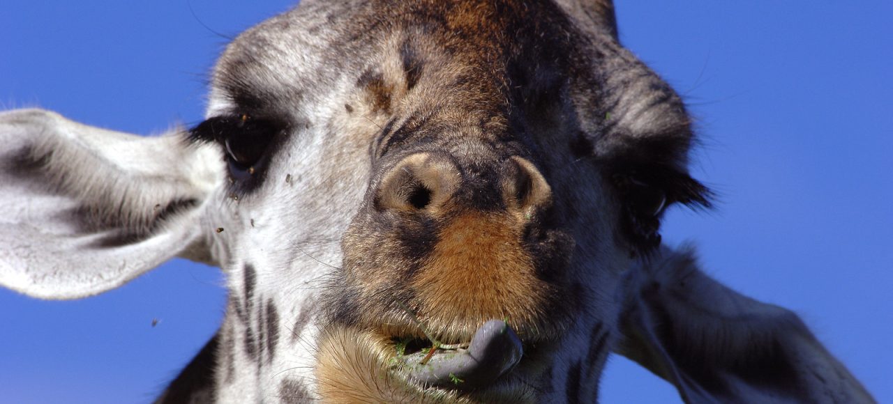 Fundani Tours DMC South African Eco Explorer 18 Days
