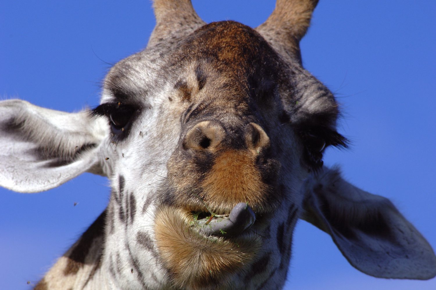 Fundani Tours DMC South African Eco Explorer 18 Days