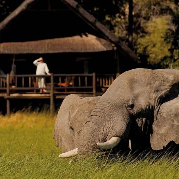 Fundani Tours Botswana Northern Highlights 10 Days