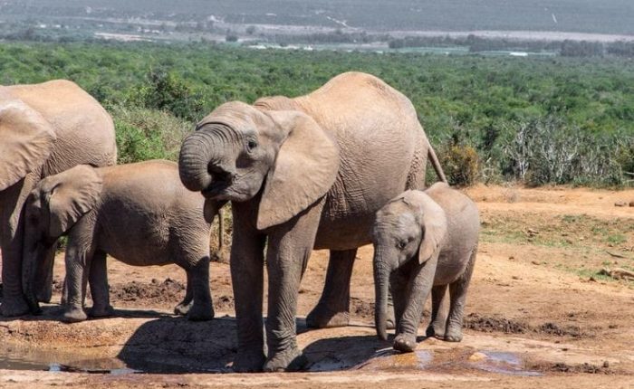 Fundani Tours Garden Route Essentials 3 Days