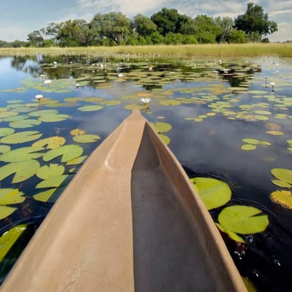 Wild & Scenic Botswana Self-Drive 13 Days Fundani Tours DMC