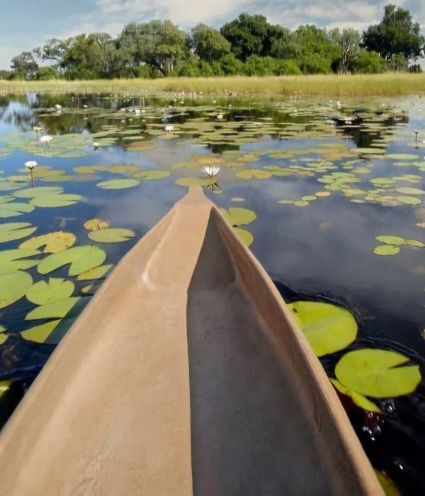 Wild & Scenic Botswana Self-Drive 13 Days Fundani Tours DMC