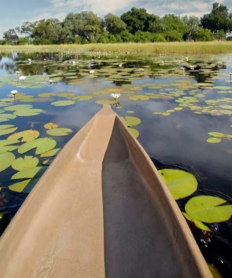 Wild & Scenic Botswana Self-Drive 13 Days Fundani Tours DMC