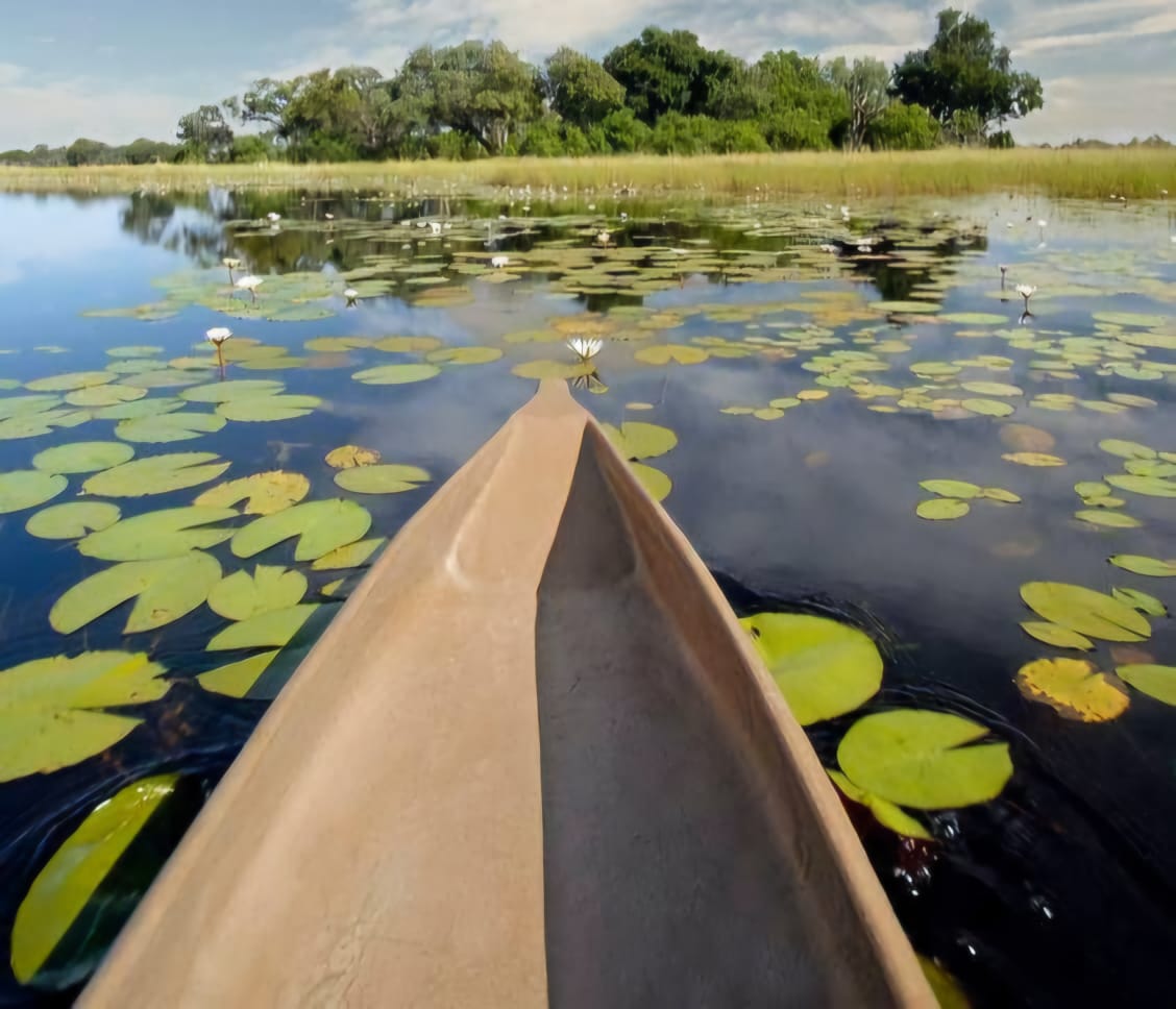 Wild & Scenic Botswana Self-Drive 13 Days Fundani Tours DMC