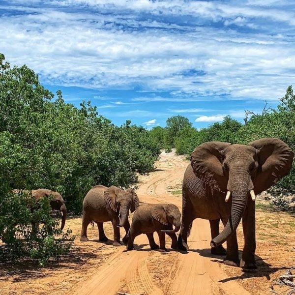 Fundani Tours DMC Botswana Wildlife and Waterways 9 Days Safaris