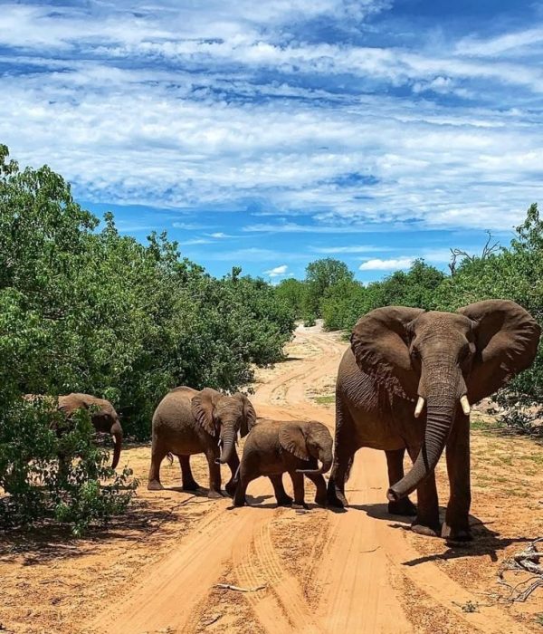 Fundani Tours DMC Botswana Wildlife and Waterways 9 Days Safaris