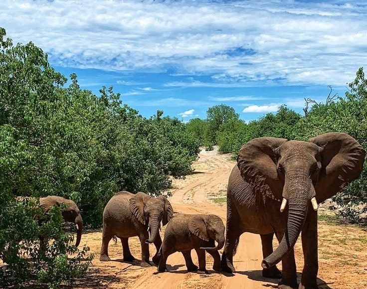 Fundani Tours DMC Botswana Wildlife and Waterways 9 Days Safaris