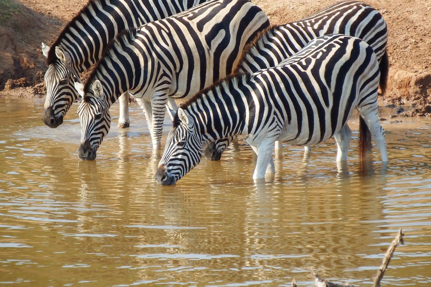 Fundani Tours DMC Botswana Under Safari Skies 11Days