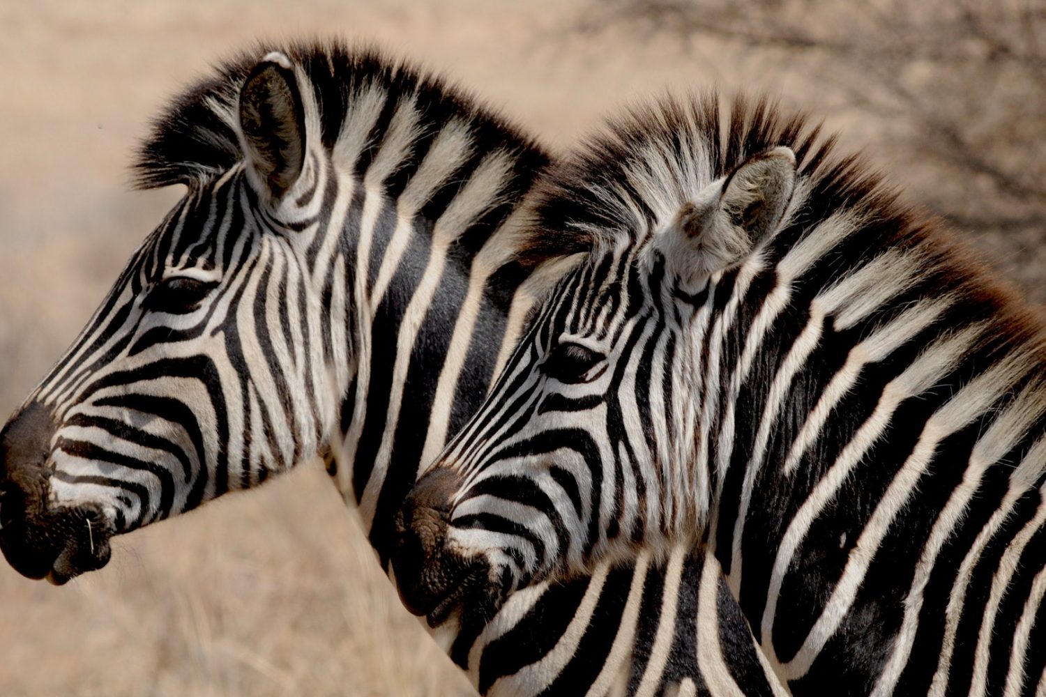 Fundani Tours DMC Eco Ranger Experience 7 Days