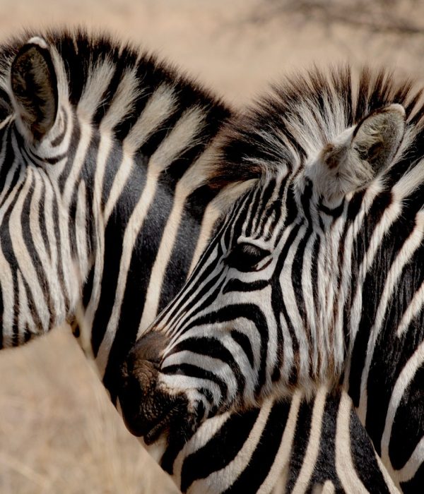 Fundani Tours DMC Eco Ranger Experience 7 Days